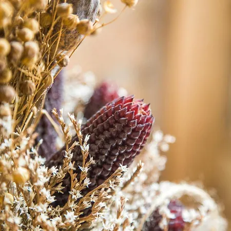 Pod Ripem 度假居 斯塔斯科夫