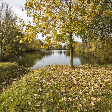 Pod Ripem * 斯塔斯科夫