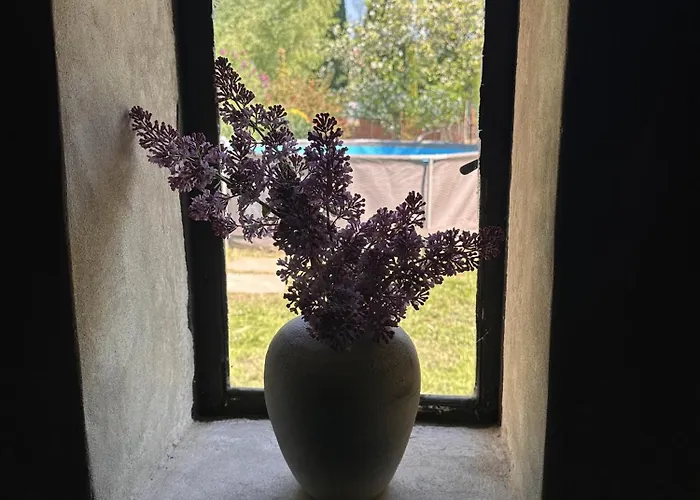 Pod Ripem Feriehus *