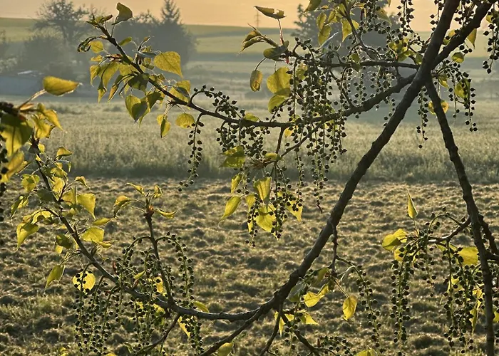 Feriehus Pod Ripem Straškov